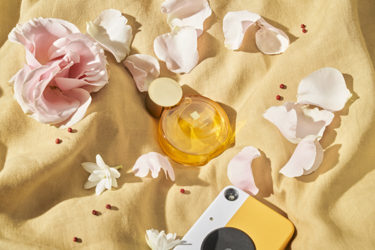 Şıklık ve modernizmi bir araya getiren Far Away Shine ile tanışın